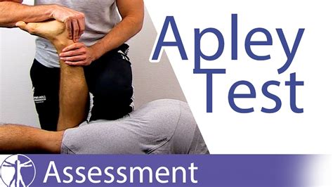 apley's test knee injury